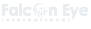 Falcon Eye logo
