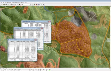 Geographic Databases